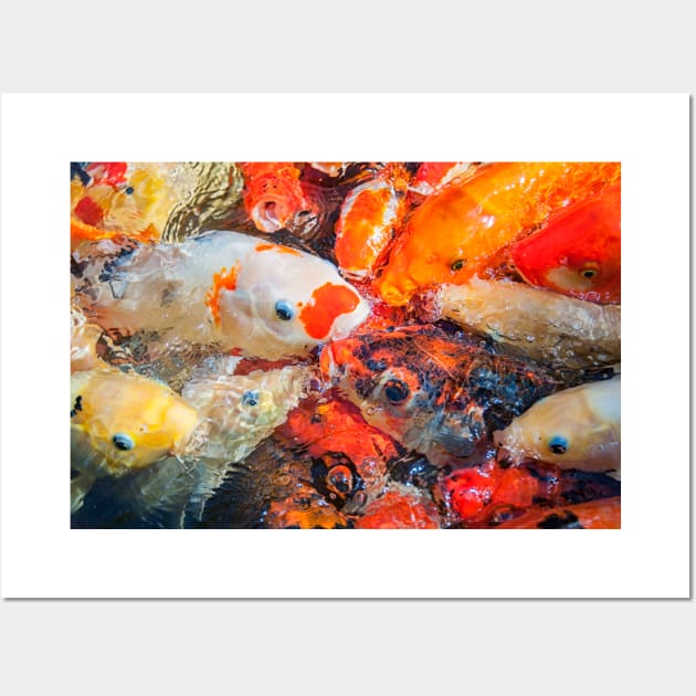 Feeding Frenzy Wall Art by StacyWhite